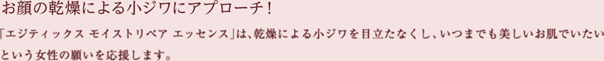 お顔の乾燥による小ジワにアプローチ！「エジティックス モイストリペア エッセンス」は、乾燥による小ジワを目立たなくし、いつまでも美しいお肌でいたいという女性の願いを応援します。