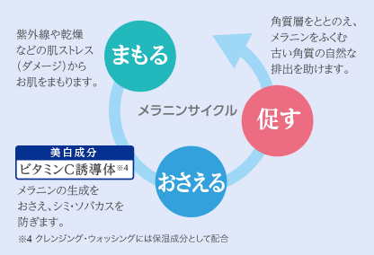 メラニンサイクル（まもる、おさえる、促す）の図