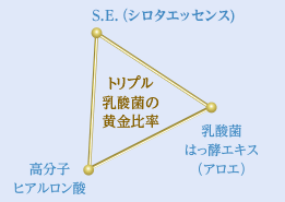 トリプル乳酸菌の黄金比率の図