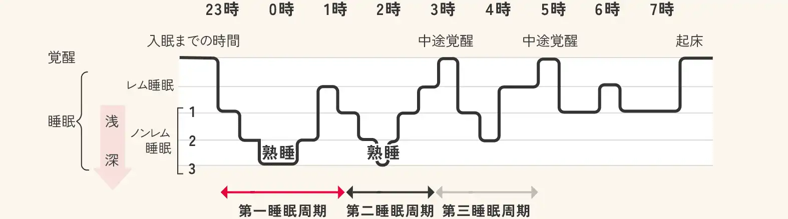 「レム睡眠とノンレム睡眠のサイクル」図解