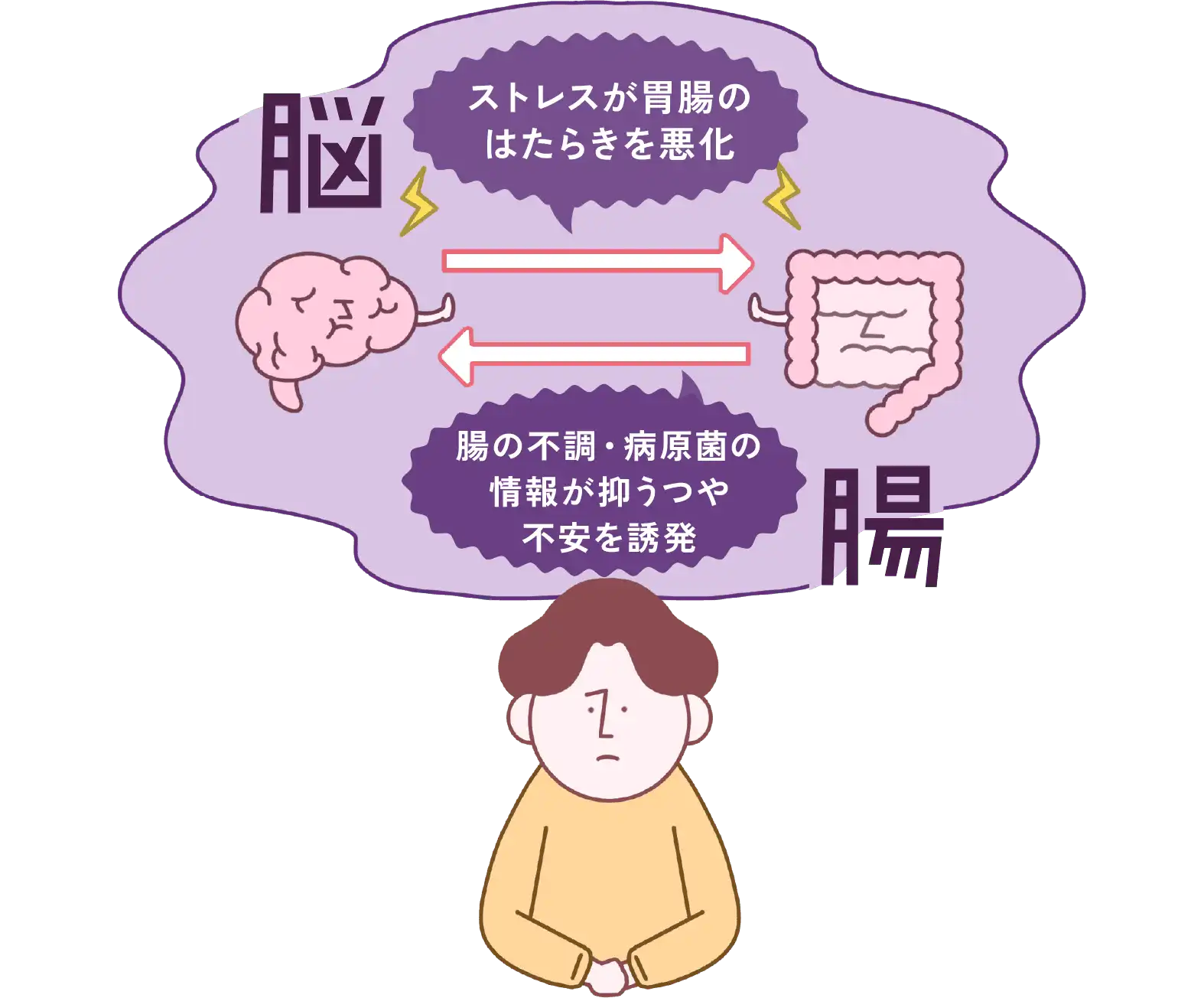 「腸が脳に影響を与え、睡眠の質を上げる？」図解