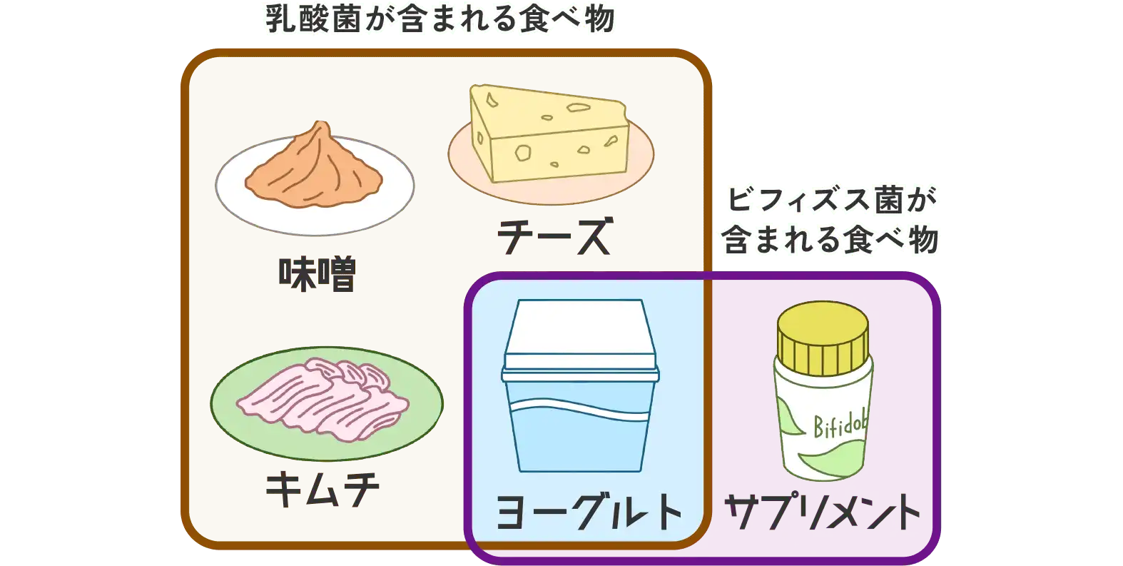 「どんな食べ物から摂れる？」図解