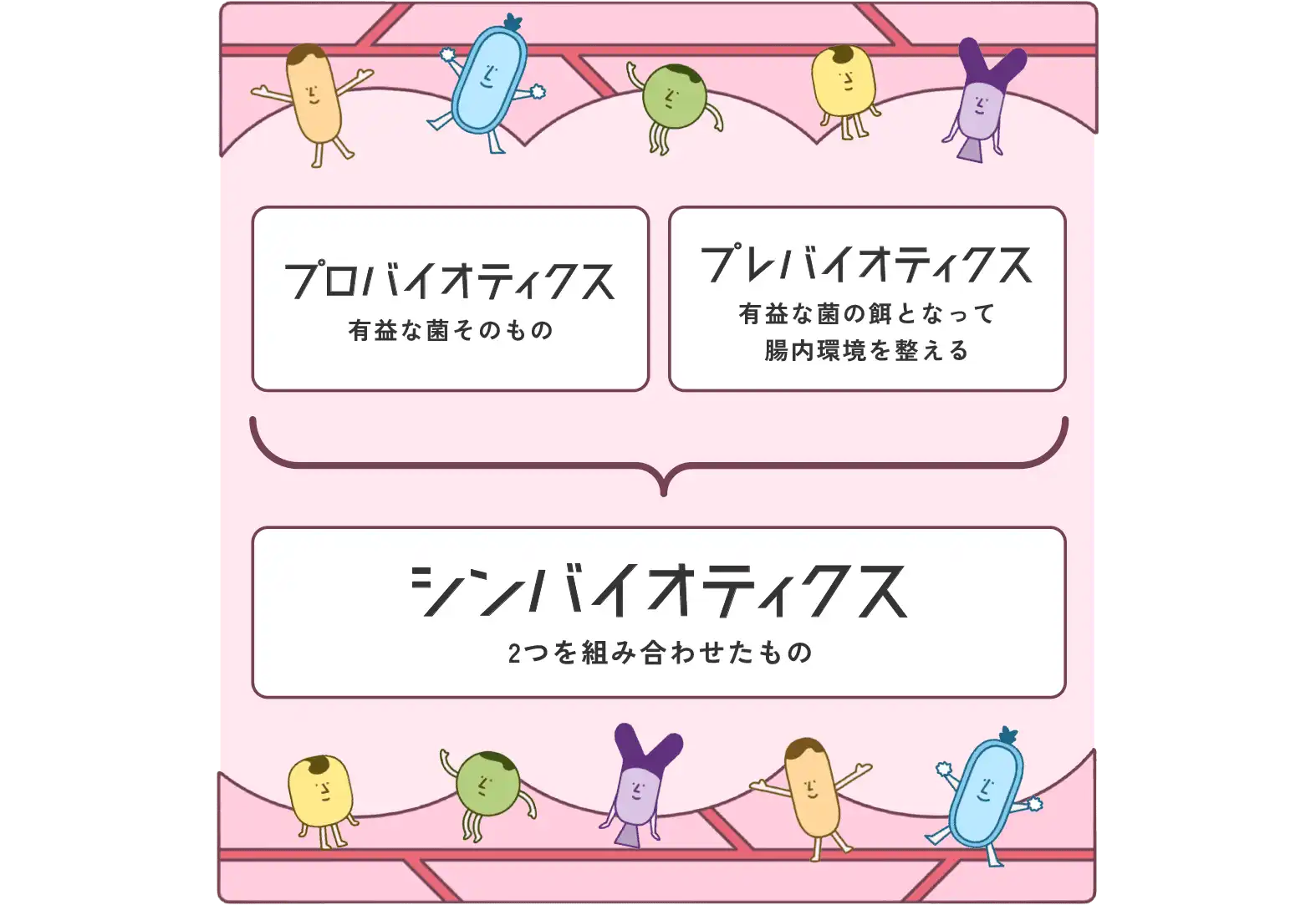 プロバイオティクス・・・有益な菌そのもの プレバイオティクス・・・有益な菌の餌となって腸内環境を整える シンバイオティクス・・・2つを組み合わせたもの