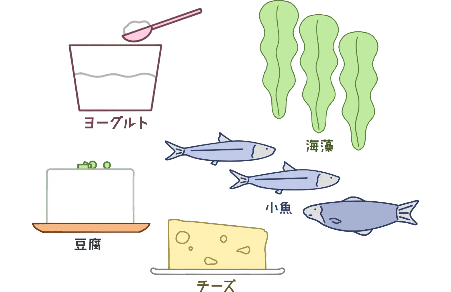 「カルシウムは何に含まれている？」図解