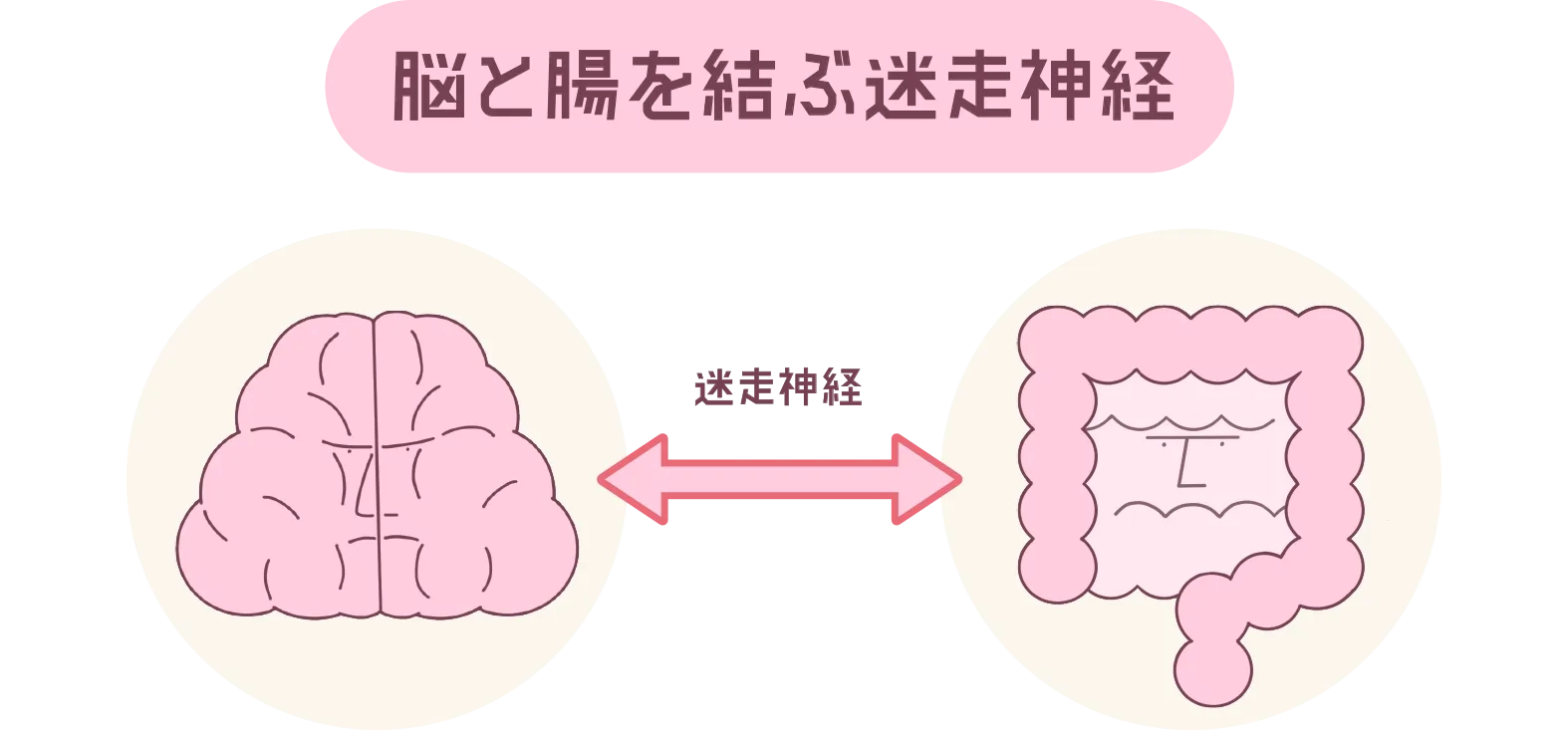 脳と超を結ぶ迷走神経