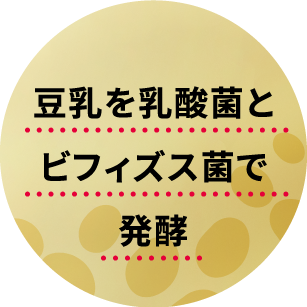 豆乳を乳酸菌とビフィズス菌で発酵