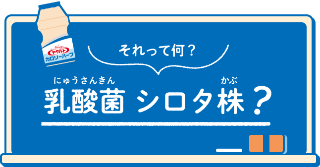 それって何？乳酸菌シロタ株？